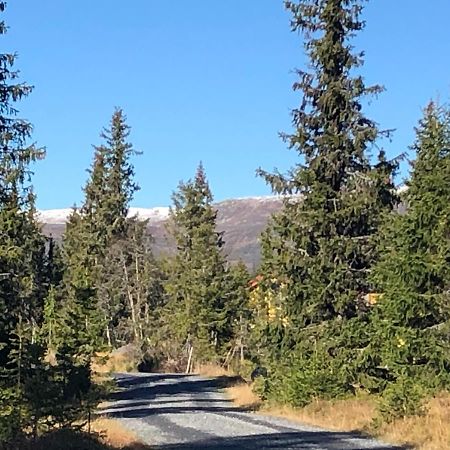 Sykkelhytte Ved Slatten I Synnfjellet Nord Torpa Exteriör bild
